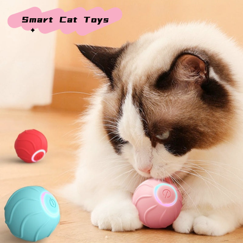 Smart Cat Toys Rolling Ball Pet Cat