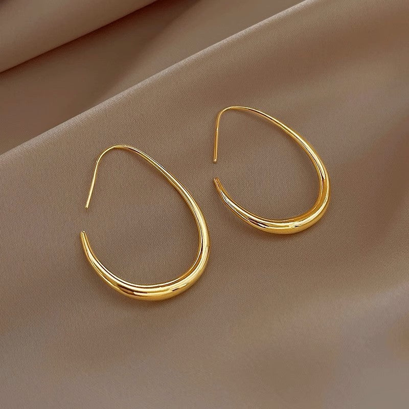 S925 Silver Oval Earrings Internet Celebrity Temperament Women